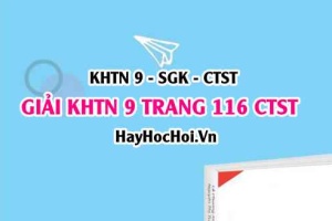 Giải KHTN 9 trang 116 Chân trời sáng tạo SGK